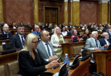 Burno u Skupštini – Polemika Aleksića i Brnabić