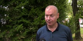 Dragan Petrović – Zajednički interes Rusije, Kine i Severne Koreje je borba protiv pritisaka Amerike