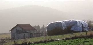 Raspisan javni poziv za podsticaje za unapređenje i razvoj ruralne infrastrukture