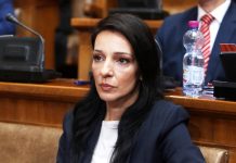 Marinika Tepić – Vanredni izbori zbog litijuma
