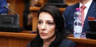 Marinika Tepić – Vanredni izbori zbog litijuma