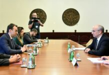 Petković – Kurtija ne interesuje dijalog