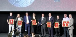 15. Vidovdanske kulturne svečanosti