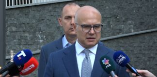 Vučević – Nema razloga za smenu Milice Đurđević Stamenkovski