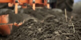 Humus – kako ga održati i povećati