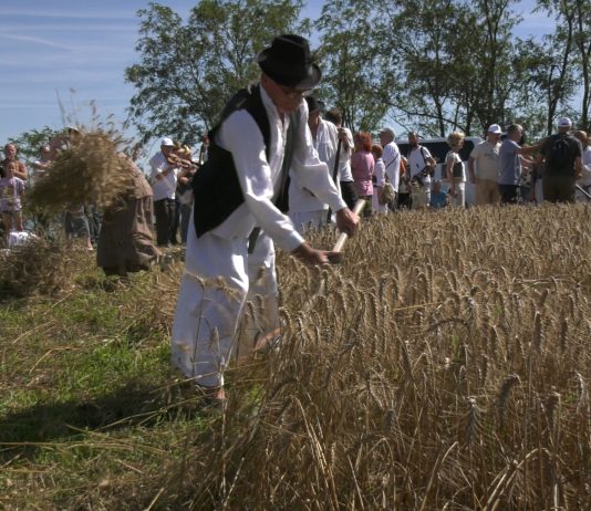 Održan 41. Žetelački dan