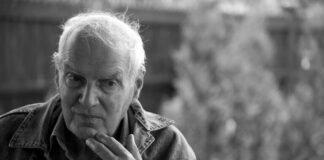 Scenarista Siniša Pavić preminuo je u 92. godini u svom domu u Vlasotincu