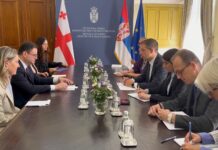 Ministri Đurić i Džandžalija – Veliki potencijal za unapređenje bilateralne saradnje sa Gruzijom