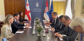 Ministri Đurić i Džandžalija – Veliki potencijal za unapređenje bilateralne saradnje sa Gruzijom