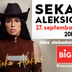 BIG-ZR_Seka-Aleksic_-300×250