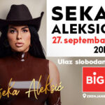 BIG-ZR_Seka-Aleksic_-300×250000