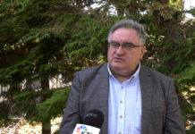 Đorđe Vukadinović – Idejom o spomeniku Draži skreće se pažnja sa litijuma i Kosova