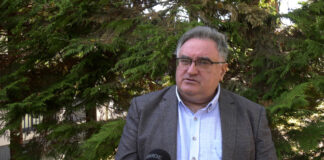 Đorđe Vukadinović – Idejom o spomeniku Draži skreće se pažnja sa litijuma i Kosova