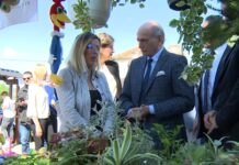 Krkobabić – Miholjski susreti u Arilju u znaku maline i blagorodnih ljudi