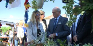 Krkobabić – Miholjski susreti u Arilju u znaku maline i blagorodnih ljudi