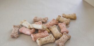 I hrana za kućne ljubimce uključena u akciju „Najbolja cenaˮ
