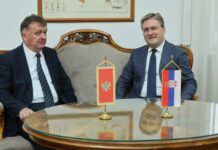 Ministar Selaković sa potpredsednikom Vlade Crne Gore Budimirom Aleksićem
