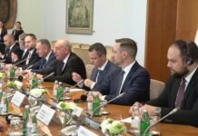 Vučević i Brnabić sa predsednikom Mađarske