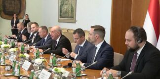 Vučević i Brnabić sa predsednikom Mađarske