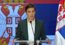 Brnabić – Parlamentarna saradnja Srbije i Mađarske je izuzetno važna
