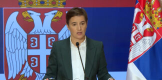 Brnabić – Parlamentarna saradnja Srbije i Mađarske je izuzetno važna