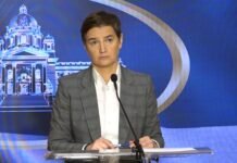 Brnabić – Branim projekat, ne Rio Tinto