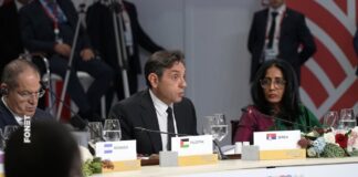 Vulin prisustvovao plenarnoj sednici Samita BRIKS-a