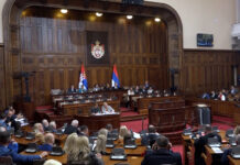 Skupština nastavila rad – Danijela Nestorović predlaže da se o zakonu glasa javno