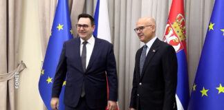 Vučević sa češkim ministrom spoljnih poslova