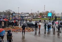 Srbija je zastala na 15 minuta!