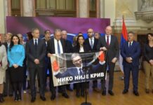 Stranka slobode i pravde i Srbija Centar (SRCE) – Prijava protiv Ane Brnabić