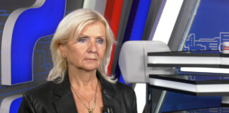 Snežana Mitrović – Koji su uslovi za smanjenje sive ekonomije