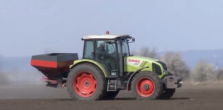 Saveti za primenu mineralnih đubriva u proizvodnji kukuruza