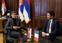 Brnabić sa francuskim senatorom Olivijeom Kadikom
