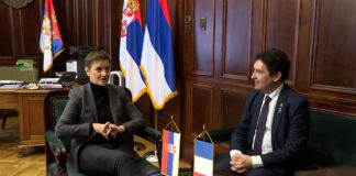 Brnabić sa francuskim senatorom Olivijeom Kadikom