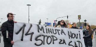 Novi Sad i Beograd stali na 14 minuta u znak sećanja na poginule