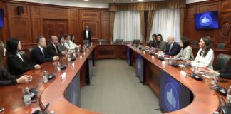Vučević – Srbija poželjna investiciona destinacija za kineske kompanije