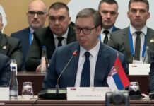 Vučić – Srbija prijatelj Africi