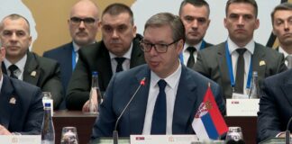 Vučić – Srbija prijatelj Africi