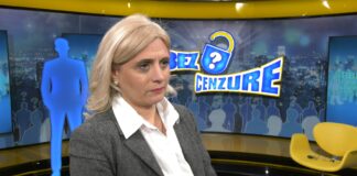 Jelena Pavlović – Vlast uvek reaguje na pritisak, zato pritisak treba vršiti