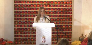 Podrška države roditeljstvu i jačanju porodice kroz subvencije za kupovinu prve nekretnine