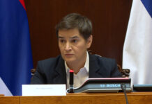 Brnabić – PG za unapređenje položaja osoba s invaliditetom doprinela inkluzivnijem društvu