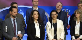 Opozicija – Ustavna žalba protiv Brnabić
