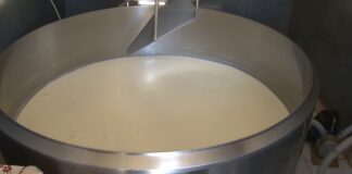 Apel mlekarama i otkupljivačima mleka da ne smanjuju otkupne cene