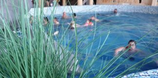 Udruženje Moja Srbija – Ukidanje vaučera za subvencioni odmor bi ugrozilo turizam