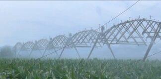 Vojvođanskoj poljoprivredi više novca za navodnajvanje, stočarstvo, ruralni razvoj