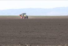 Poljoprivrednici Srbije – Nisu isplaćene subvencije za 2024, povraćaj akcize kasni, dizel poskupeo