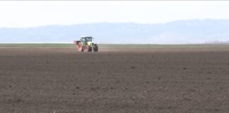 Poljoprivrednici Srbije – Nisu isplaćene subvencije za 2024, povraćaj akcize kasni, dizel poskupeo