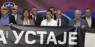 Miloš Jovanović (Novi DSS) – Rešenje samo prelazna vlada