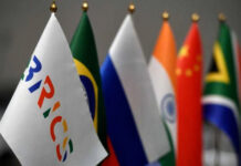 Srbiju sa zemljama BRIKS-a vežu ekonomsko partnerstvo i tradicionalne vrednosti